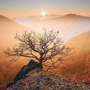 دانلود آهنگ اینم تقدیم به تو مثل قلبم تویی